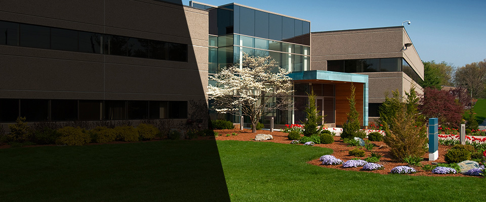 Morgan City Landscapers