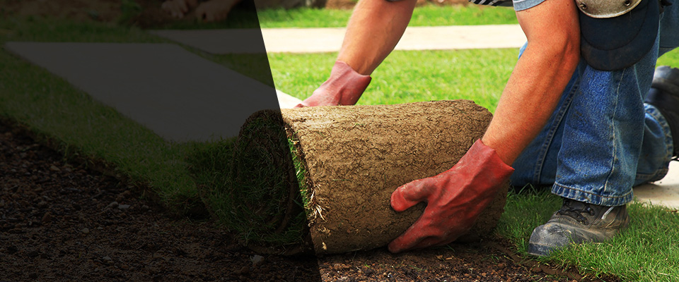 Morgan City Landscapers